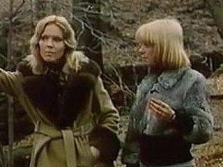 Confessions of a young american housewife (1974)